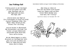 Des-Frühlings-Ball-Fallersleben-SW.pdf